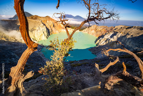 Deadwood Leafless Tree with Turquoise Water Lake,Beautiful nature Landscape mountain and green lake at Kawah Ijen volcano,East Java, Indonesia