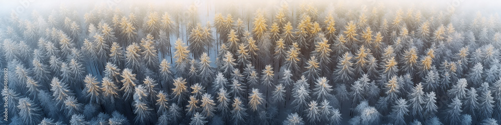 winter panorama from a drone view of a coniferous forest covered with snow, long narrow panoramic view, wildlife landscape, aerial view winter panorama from a drone view of a coniferous forest covered with snow, long narrow panoramic view, wildlife landscape, aerial view