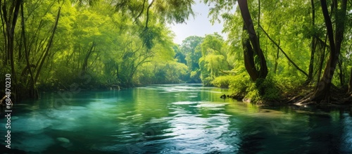In the heart of the lush tropical jungle, a breathtaking landscape unfolds, showcasing a serene lagoon surrounded by dense vegetation and towering trees, creating a haven for diverse flora and fauna