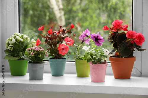 Different beautiful flowers in pots on windowsill indoors © New Africa