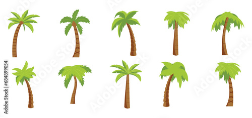 Set of Palm Tree Illustration