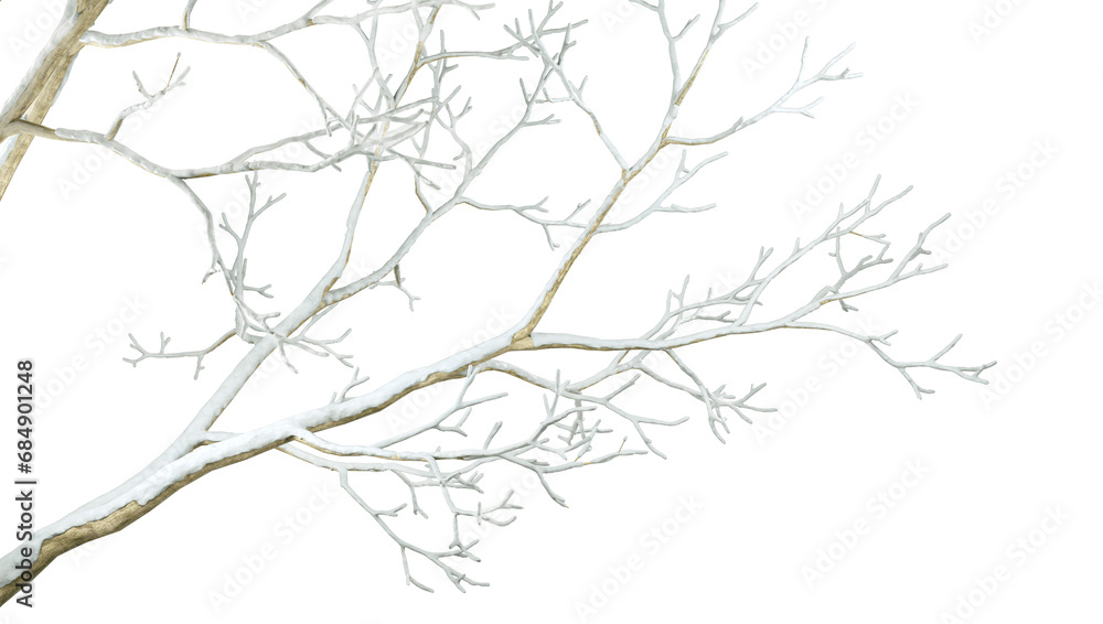 Obraz premium Tree branches winter on transparent backgrounds 3d render png