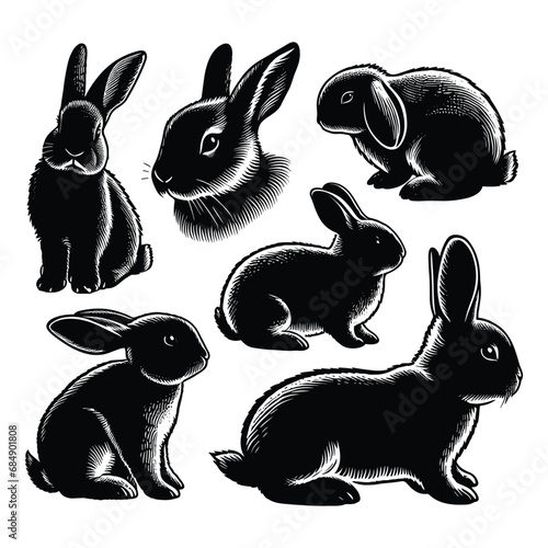 Set of bunny silhouettes isolated on a white background, Vector illustration.