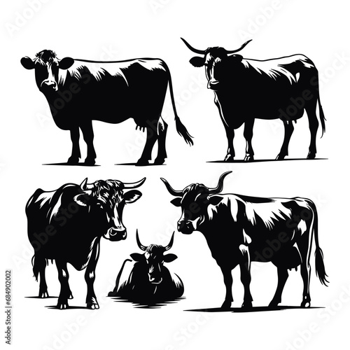 Set of cow silhouettes isolated on a white background, Vector illustration.