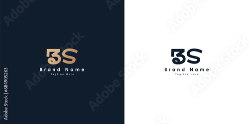 BS Logo design in Chinese letters photo