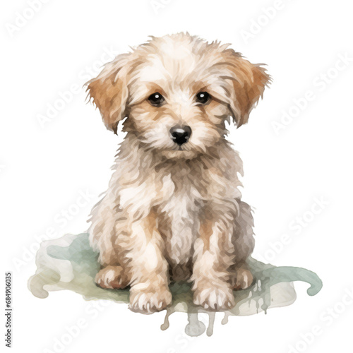 Watercolor style hand drawn wakaii dog on white transparent background