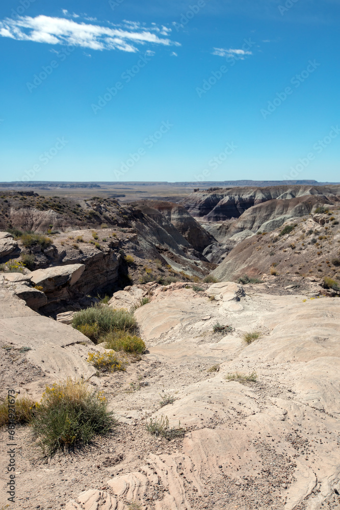 Dry canyon arroyo in the Petrified Forest National Park in Arizona United States