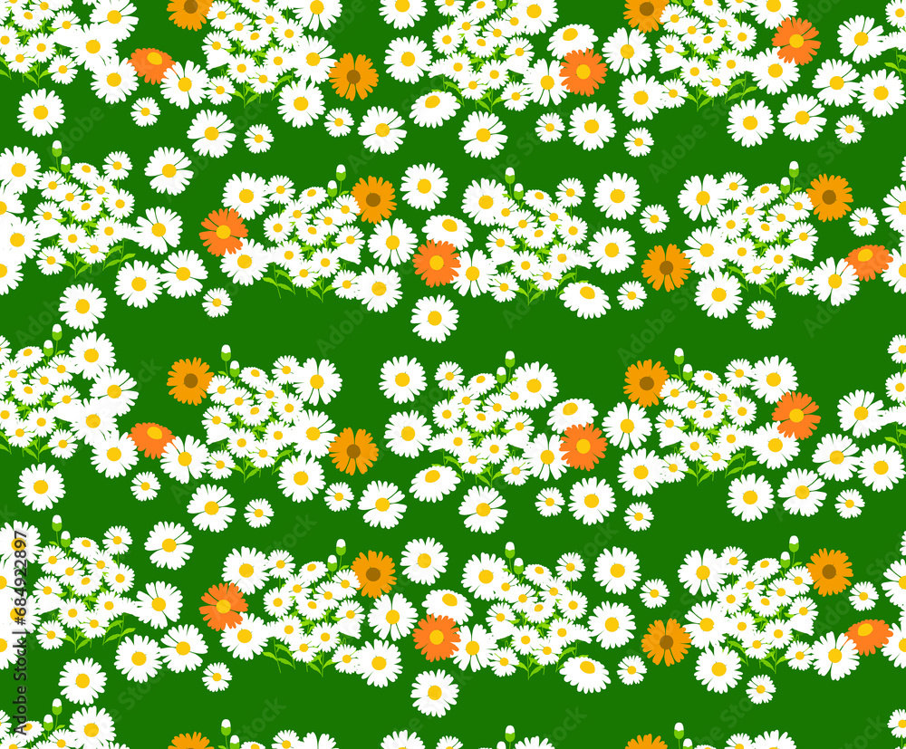 데이지 꽃과 꽃망울 패턴