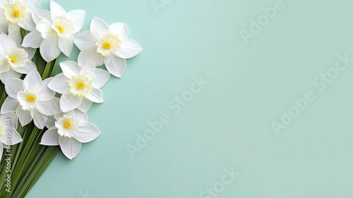 Fresh scented bouquet flower of white narcissus on green  background Copy space for text © Planetz