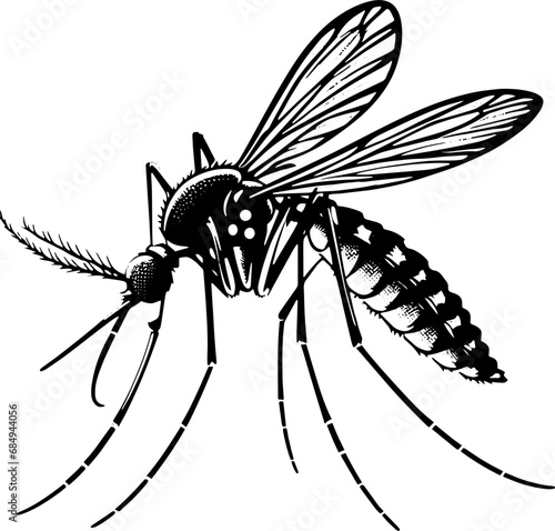 Mosquito icon 1 photo