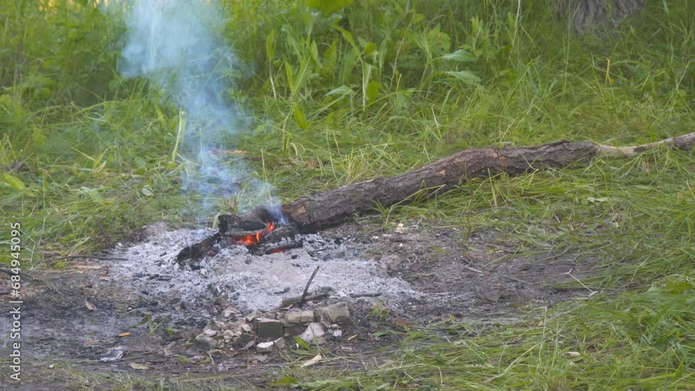 A small log in the extinguished fire smoulders and smokes. A log in a dying smoking fire A small log in the extinguished fire smoulders and smokes. A log in a dying smoking fire