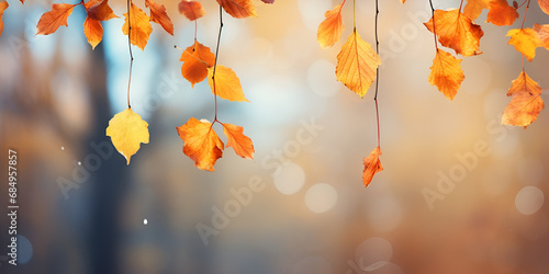 High quality stock photography autumn leaves falling in the skyAutumn colors
 photo