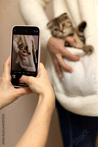 A photo of a small Scottish fold-eared kitten in a jacket pocket in a phone, a phone in women's hands
