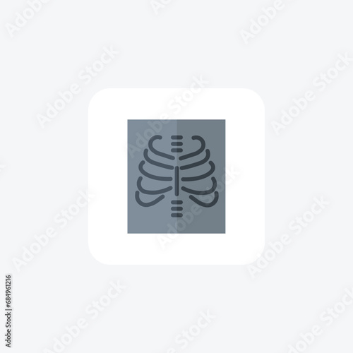 X-ray Report Icon Medical Imaging, Radiology flat color icon, pixel perfect icon
