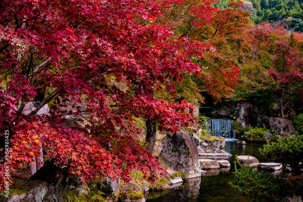 渓石園の紅葉 渓石園の紅葉