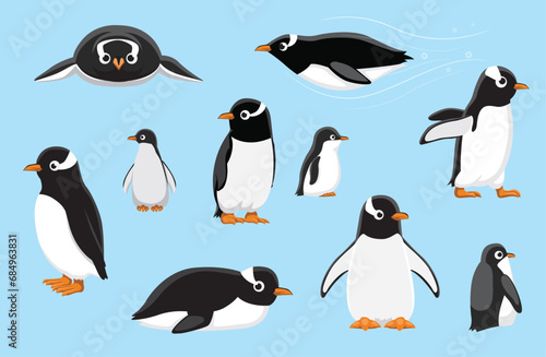 Gentoo Penguin Chick Cute Bird Winter Set Cartoon Vector