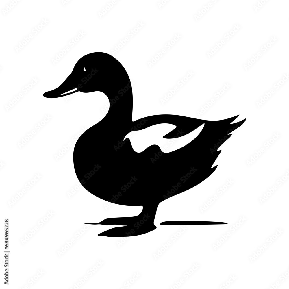 duck isolated on white duck isolated on white