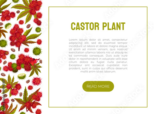 Castor Plant Banner Design with Leaves and Inflorescence Vector Template
