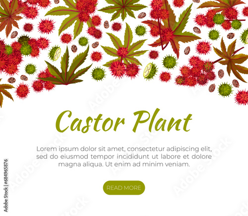 Castor Plant Banner Design with Leaves and Inflorescence Vector Template