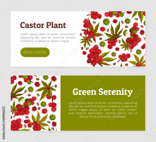 Castor Plant Banner Design with Leaves and Inflorescence Vector Template
