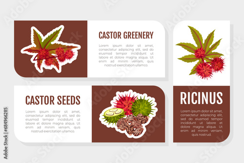 Castor Plant Label Design with Leaves and Inflorescence Vector Template