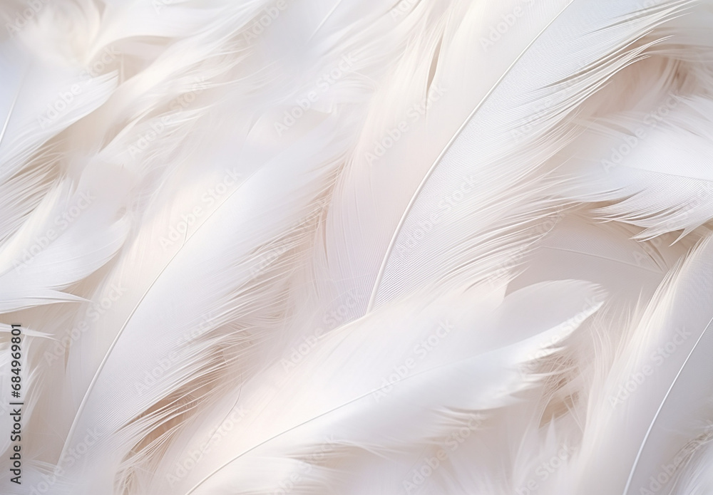Feather Light Feather Light