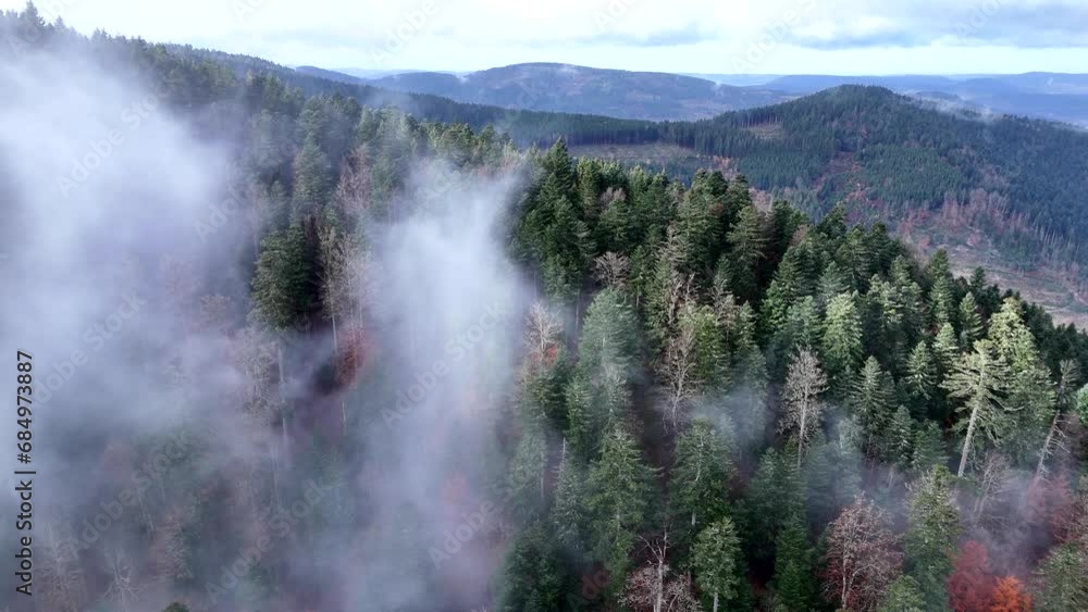Aerial orbiting above a super moody dark and cold forest with fast moving clouds in 4K Aerial orbiting above a super moody dark and cold forest with fast moving clouds in 4K
