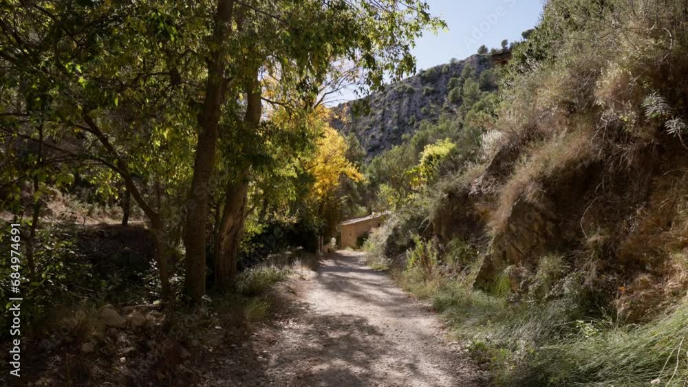 Path in mediterranean forest with poplars, trees, passing near a stone cottage Path in mediterranean forest with poplars, trees, passing near a stone cottage
