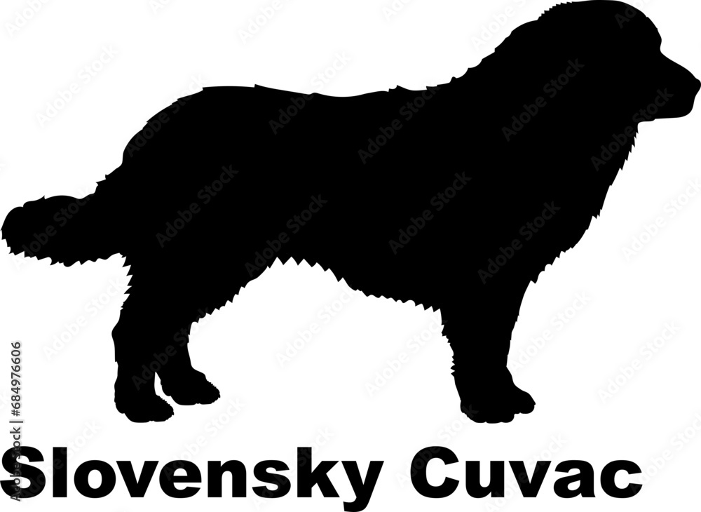  Slovensky Cuvac. Dog silhouette dog breeds logo dog monogram logo dog face vector
