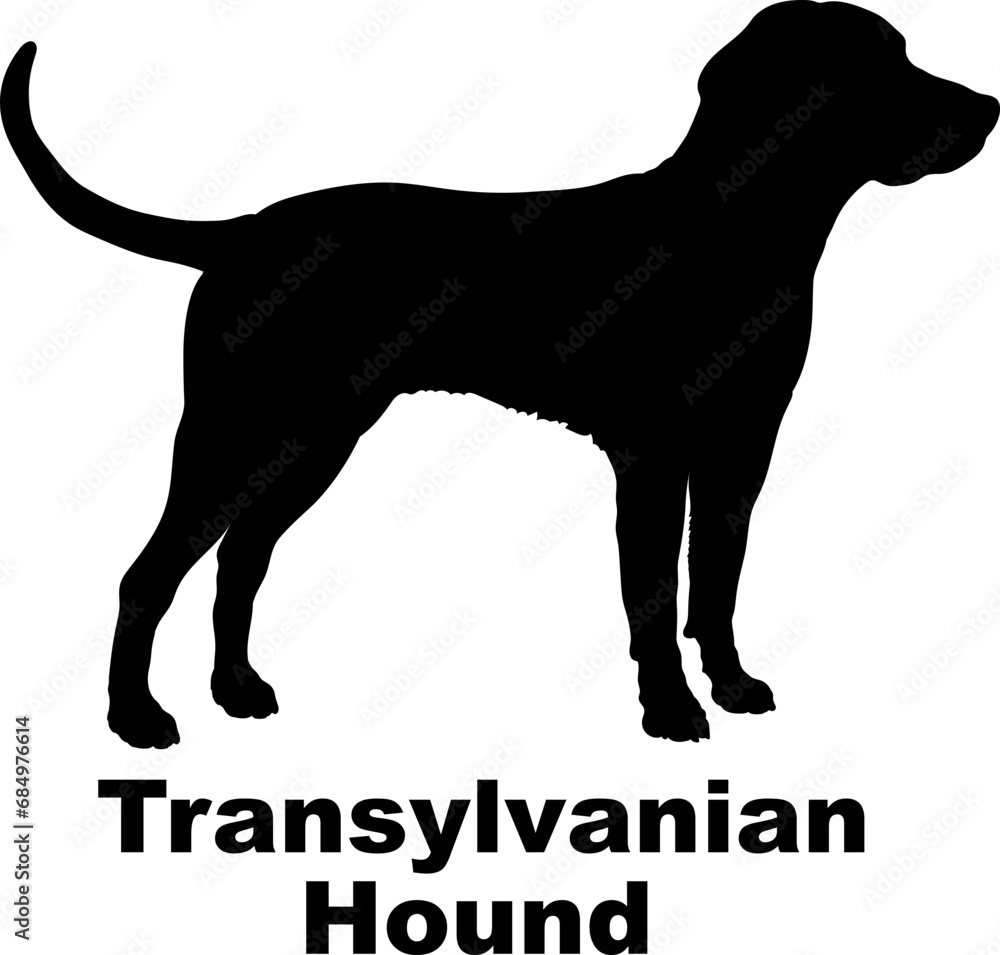 Transylvanian Hound. Dog silhouette dog breeds logo dog monogram logo dog face vector