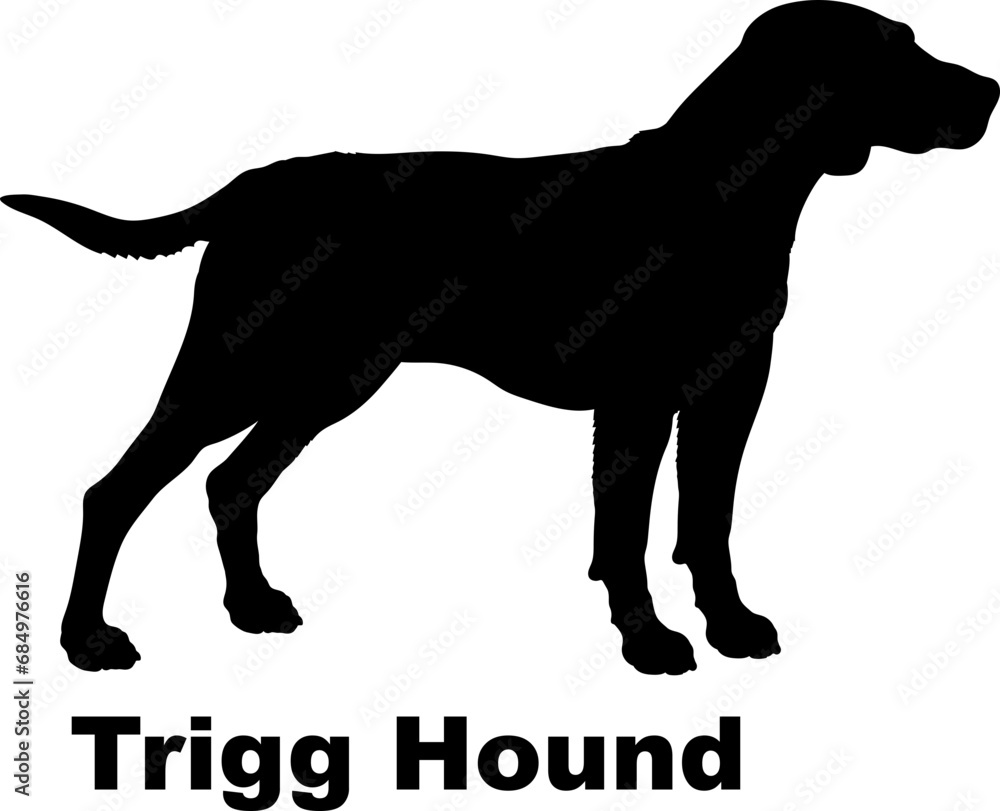 Trigg Hound. Dog silhouette dog breeds logo dog monogram logo dog face vector