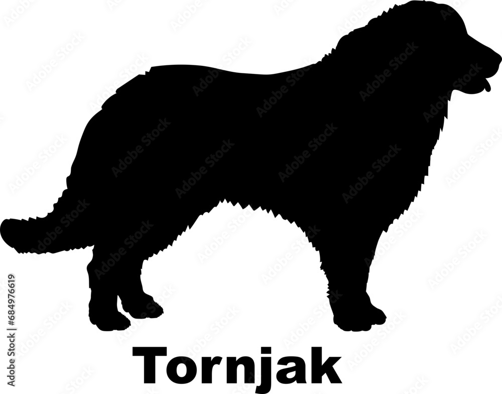 Tornjak Dog silhouette dog breeds logo dog monogram logo dog face vector Tornjak Dog silhouette dog breeds logo dog monogram logo dog face vector