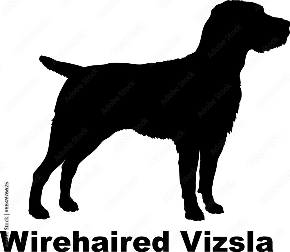  Wirehaired Vizsla Dog silhouette dog breeds logo dog monogram logo dog face vector