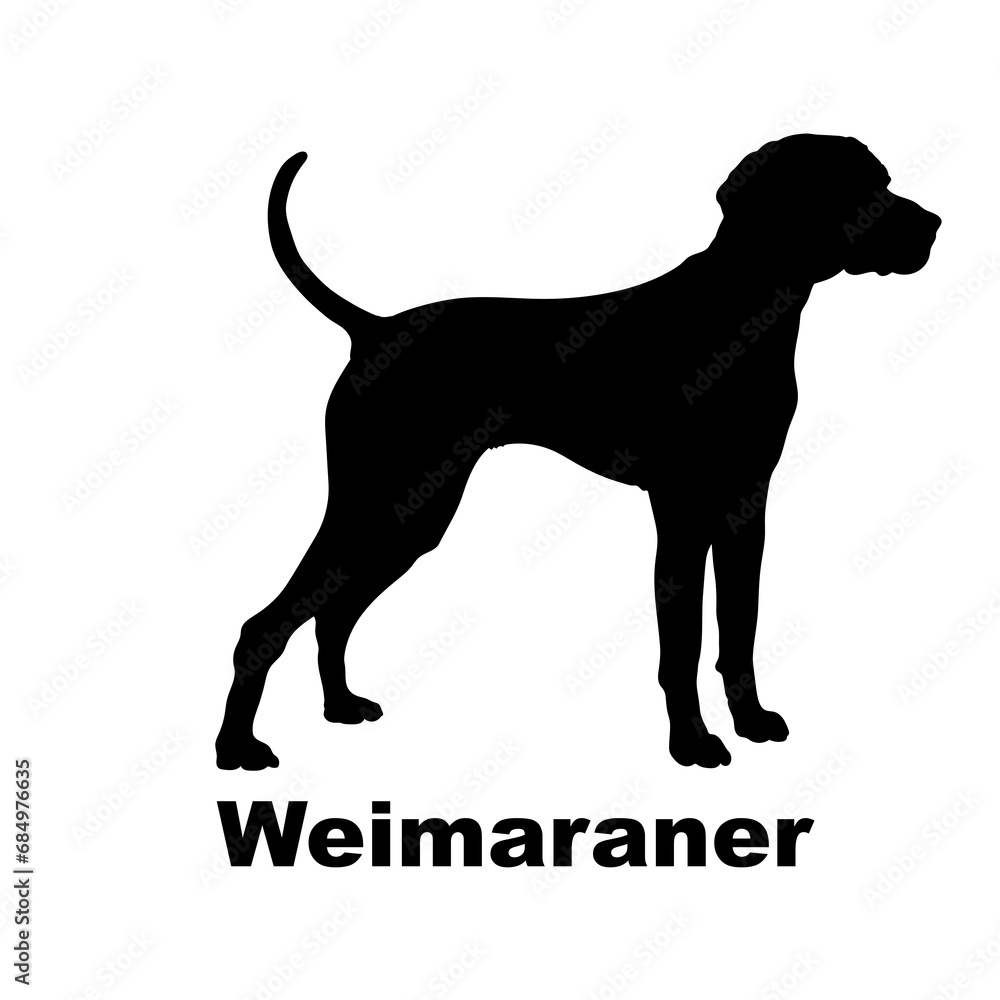 Weimaraner Dog silhouette dog breeds logo dog monogram logo dog face vector