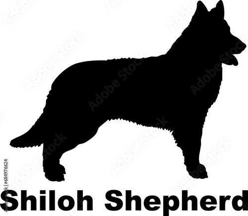Shiloh Shepherd Dog silhouette dog breeds logo dog monogram logo dog face vector