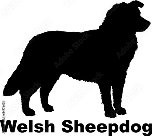 Welsh Sheepdog Dog silhouette dog breeds logo dog monogram logo dog face vector