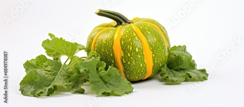 A young green pumpkin, raw and fresh, sat isolated on a white background, its hairy vine crawling like a climber, embodying the natural and organic beauty of a budding squash plant, reminiscent of