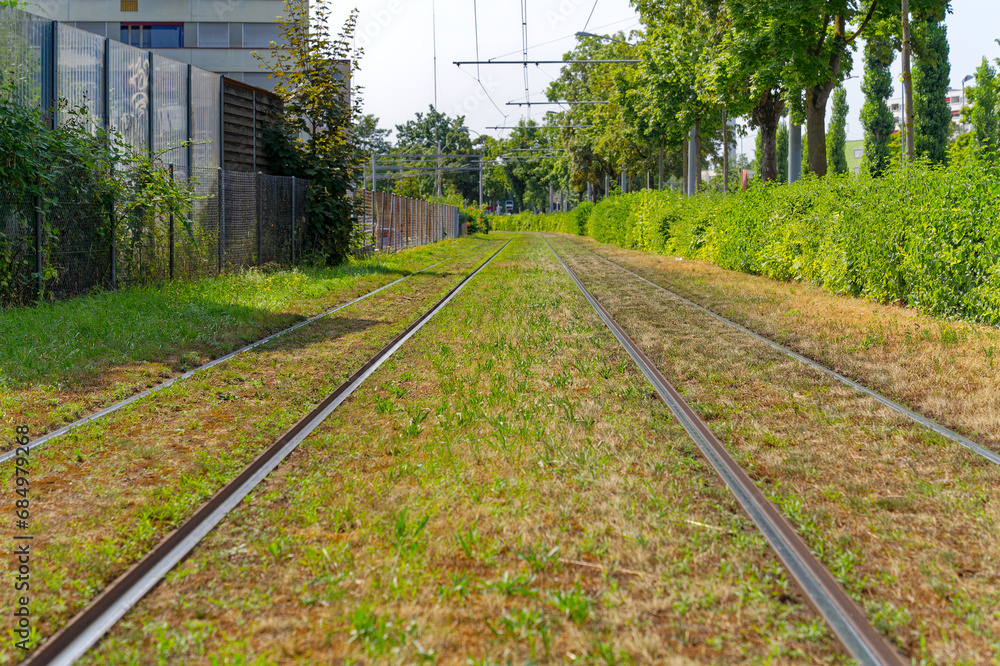 Fototapeta premium Diminishing view of tramway coverd with grass at Swiss City of Zürich on a hot sunny summer day. Photo taken July 10th, 2023, Zurich, Switzerland.