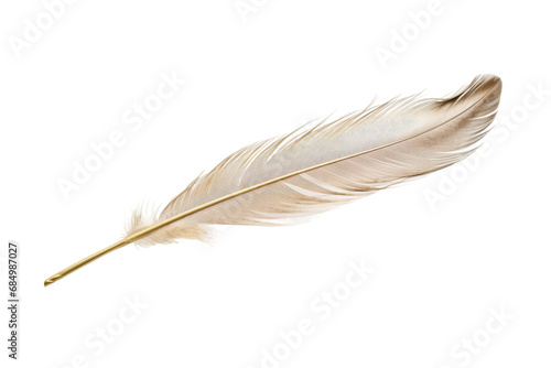 Stylish Plume Feather Hairpin Showcase isolated on transparent background
