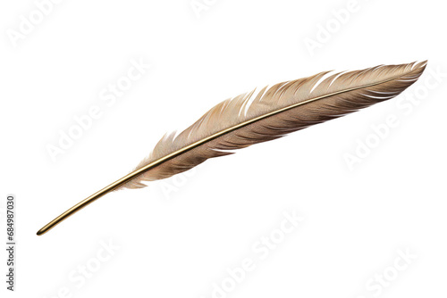 Graceful Glamour Unaltered Feather Hairpin Image isolated on transparent background
