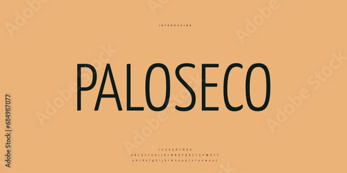 Hand drawn elegant alphabet letters font and number. Classic Lettering Minimal Fashion Designs. Typography modern Sen serif fonts regular decorative vintage concept. vector illustration