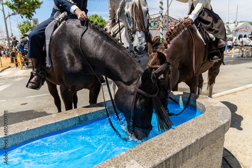 Unrecognizable equestrians on horsebacks allowing horses to drink water from tub