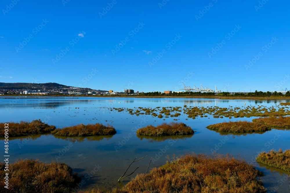 Beautiful Skocjanski Zatok marshland and the town of Koper in Primorska, Slovenia