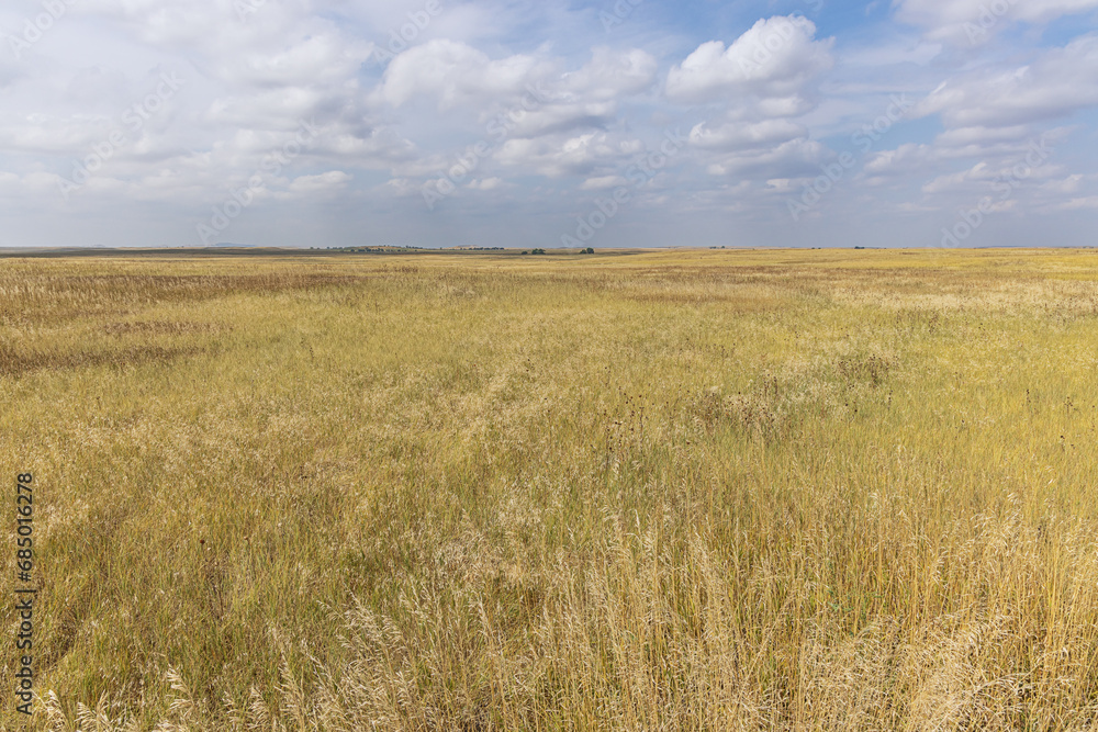 View of a prairie landscape around the Badlands National Park