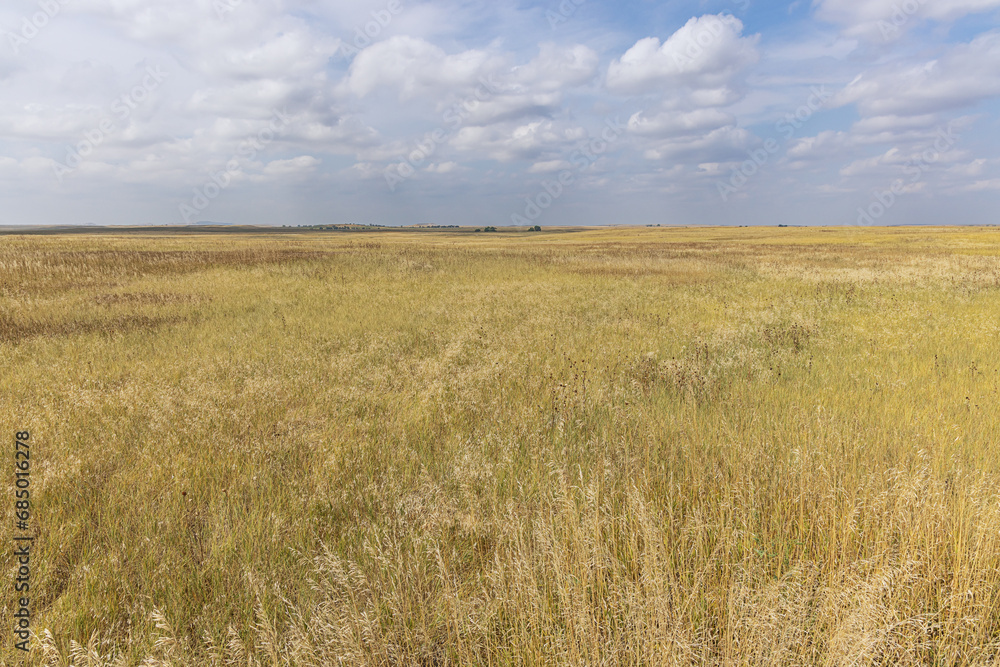 View of a prairie landscape around the Badlands National Park View of a prairie landscape around the Badlands National Park