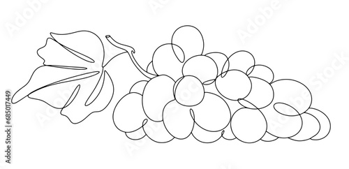 Grape. Bunch. Muscat. One line.