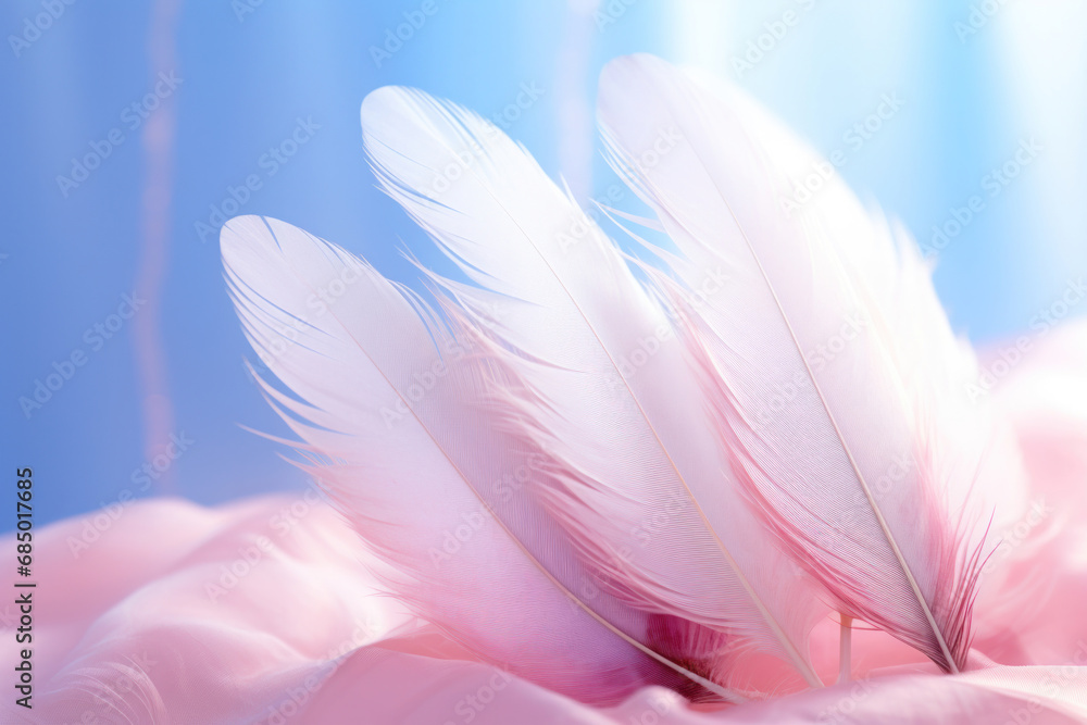 Delicate Pink Feathers on a Dreamy Blue Background