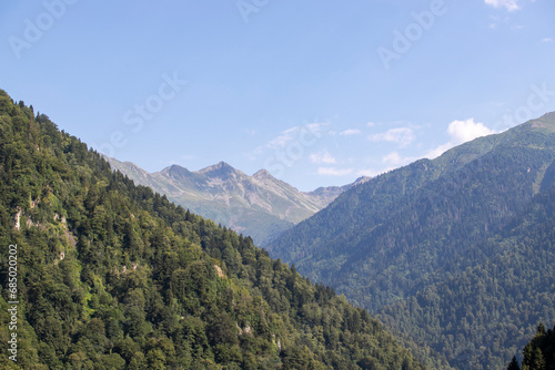 Mountainous area covered with forest. Black Sea forests. Shot in Rize Turkey