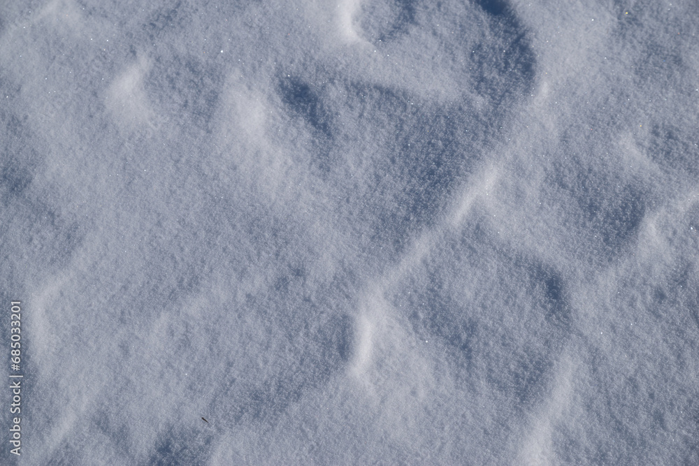 雪に続く足あと 雪に続く足あと