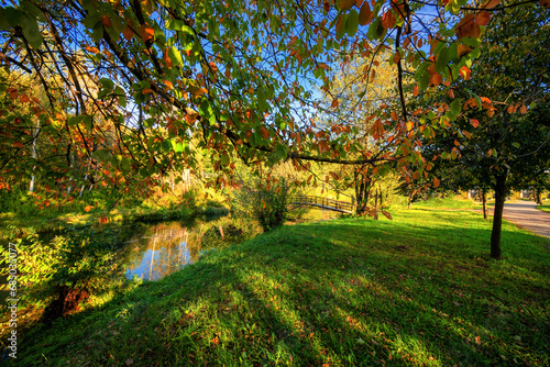 Fototapeta Naklejka Na Ścianę i Meble -  Jesień nad rzeką